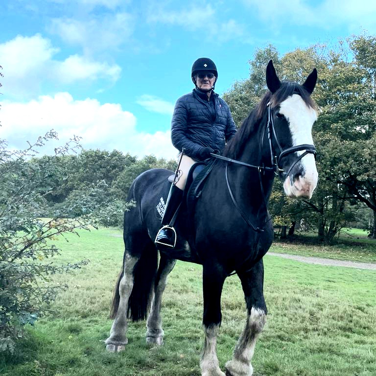 RoyalDickie's tweet photo. I managed to get a good hack in today out of #WimbledonVillageStables before the heavens opened and chucked it down. I rode Oliver for the first time and must say at 16.2 hands he was a terrifically comfortable ride and responded to every leg command https://t.co/SUFOer0ZZN