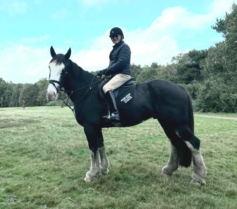 RoyalDickie's tweet photo. I managed to get a good hack in today out of #WimbledonVillageStables before the heavens opened and chucked it down. I rode Oliver for the first time and must say at 16.2 hands he was a terrifically comfortable ride and responded to every leg command https://t.co/SUFOer0ZZN