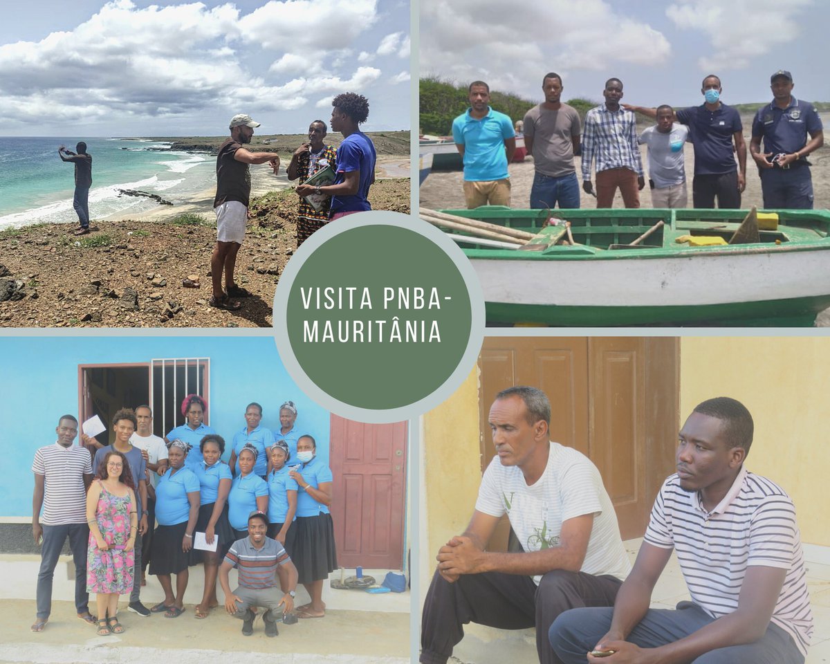 FMB - Maio Biodiversity Foundation (@fmb_caboverde) on Twitter photo Thank you AHMED BILAL & HAMOUD RASSOUL, members of <a href="/PNBancarguin/">Parc National du Banc d'Arguin - PNBA</a> for visit, exchange knowledge & work methodologies.
In 2022, FMB intends to send 2 members to Mauritania to learn about new conservation realities and working methodologies and to strengthen the bond of friendship. Thank you AHMED BILAL & HAMOUD RASSOUL, members of <a href="/PNBancarguin/">Parc National du Banc d'Arguin - PNBA</a> for visit, exchange knowledge & work methodologies.
In 2022, FMB intends to send 2 members to Mauritania to learn about new conservation realities and working methodologies and to strengthen the bond of friendship.
