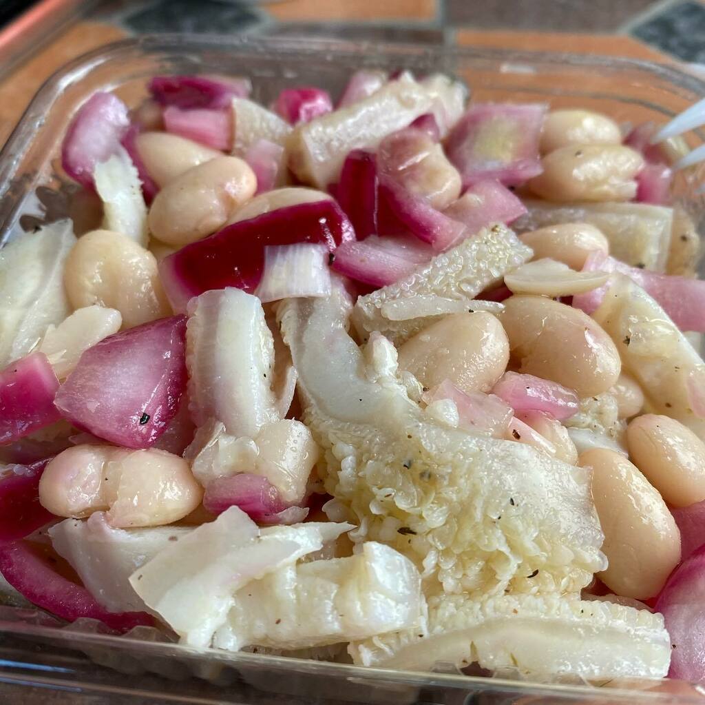 Anatomy of today’s harvest lunch

🍴Trippa, Tropea onions &amp; Fagioli

🍴Schiacciata &amp; Mortadella

🍴Table wine in a plastic cup

✌🏼&amp; 💚

#cipolleditropea #trippa #fagioli #schiacciata #mortadella #vino #extravirginoliveoil #abandonedgrove instagr.am/p/CVQDEm3NIxl/