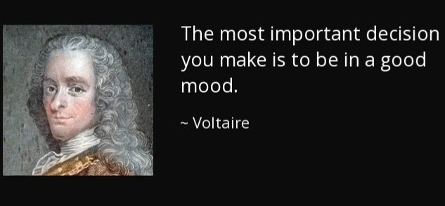Deep_thoughtsHQ's tweet image. 15 Powerful Philosophy Quotes of “Voltaire ” 

Thread
