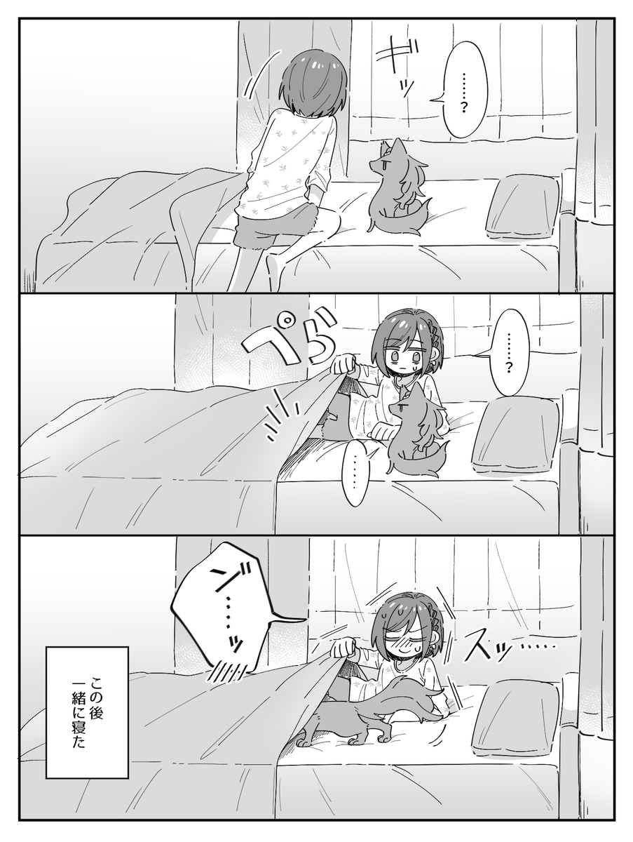 ちゃんと寝て🐈🎨 