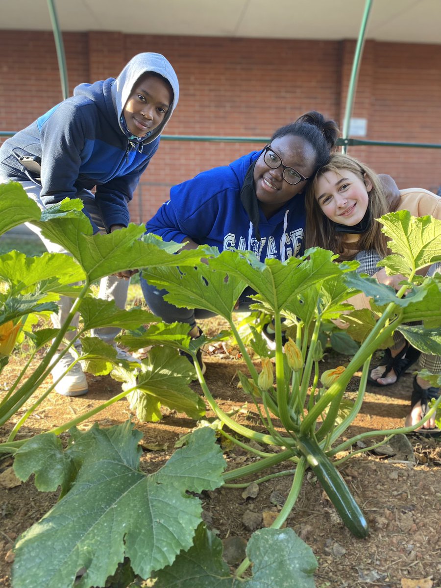 West Millbrook FFA tweet media
