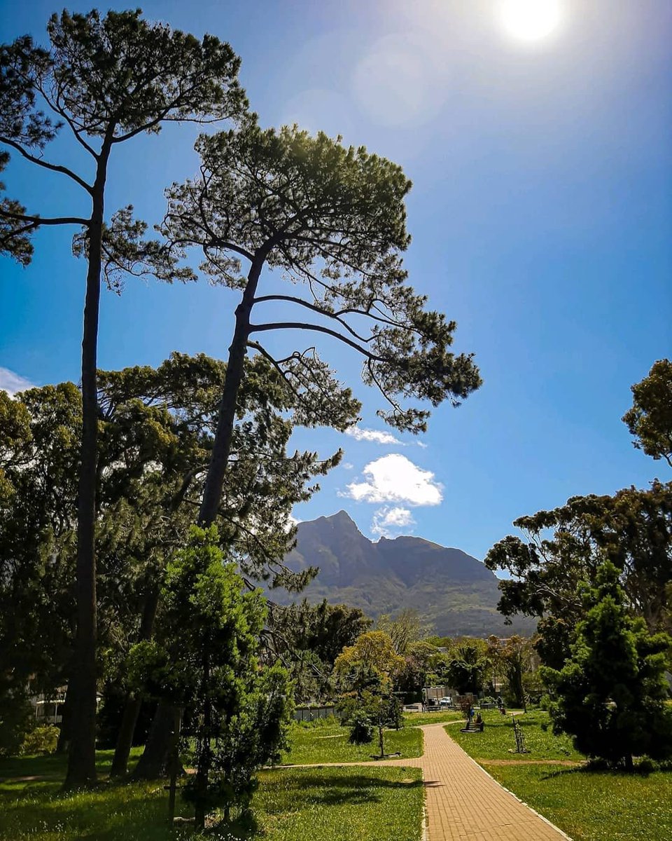 Took this while on a walk 📸

#capetowncaptured #capetown #travel #nature #naturephotography #mountains #beautiful #explore #southafrica #africa #photography #lovecapetown #travelphotography #cool #capetownsouthafrica #westerncape