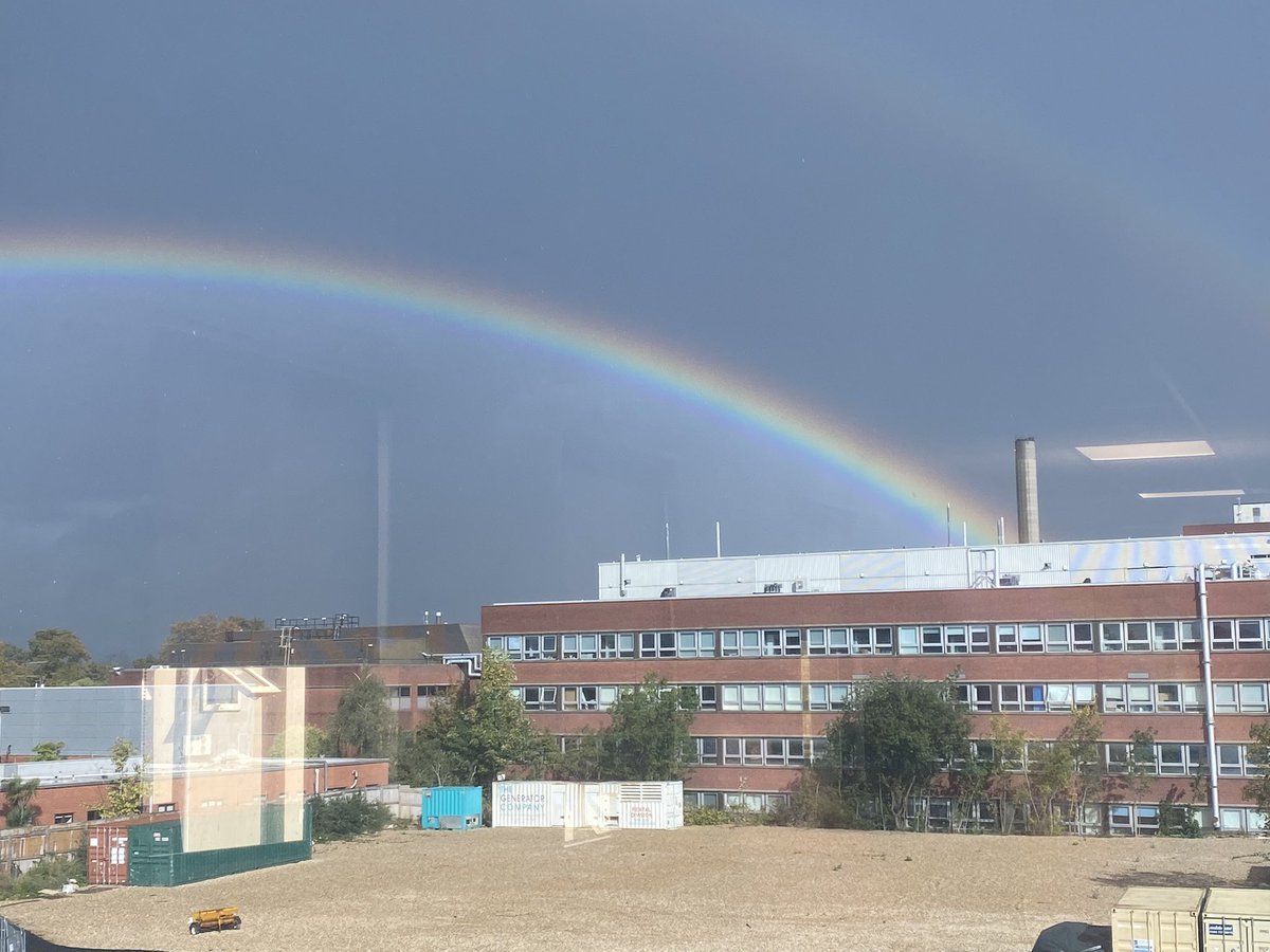 Francesca C-L tweet media