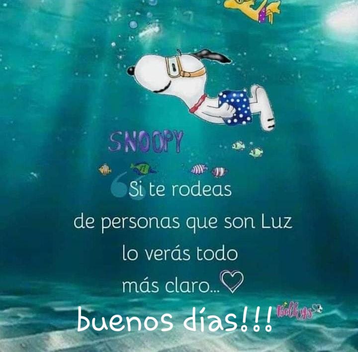 Lizeth_7771's tweet photo. #FelizMiercoles 🥰 que sea un excelente día para todos!
#SiguemeYTeSigo #SiguemeYTeSigoDeVuelta https://t.co/Y7bBDC0A3b