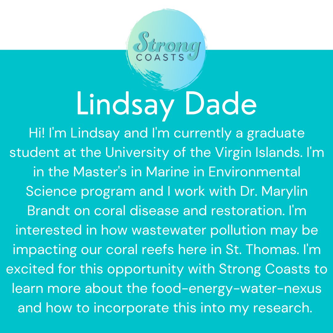 Strong Coasts tweet media