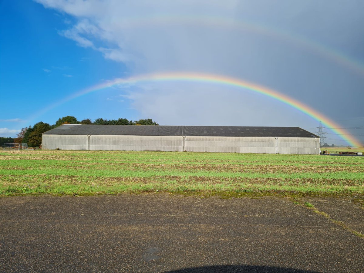unitylime's tweet photo. When autumn fall brings a little colour to Unity Lime's new warehouse. With no filter needed, autumn, we love your colours. 

#warehouse #love #newoffice #biggerandbetter #autumn https://t.co/s06hbG3a4k