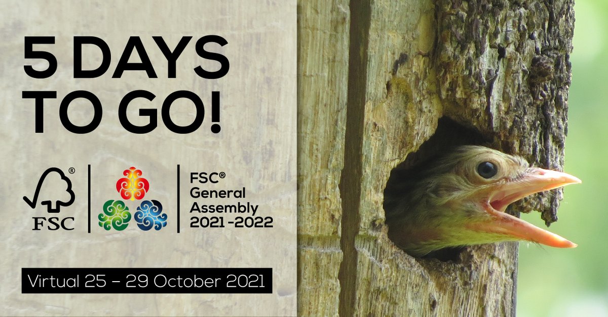 FSC_IC's tweet photo. Attention FSC Members! Join the FSC Virtual General Assembly to learn, connect, and collaborate. Register here for 25-29 October and have your voice heard on matters concerning the world’s forests: https://t.co/ngmeyyP3J2
#FSCGA #FSCGA2021 https://t.co/89HHIW80Mj