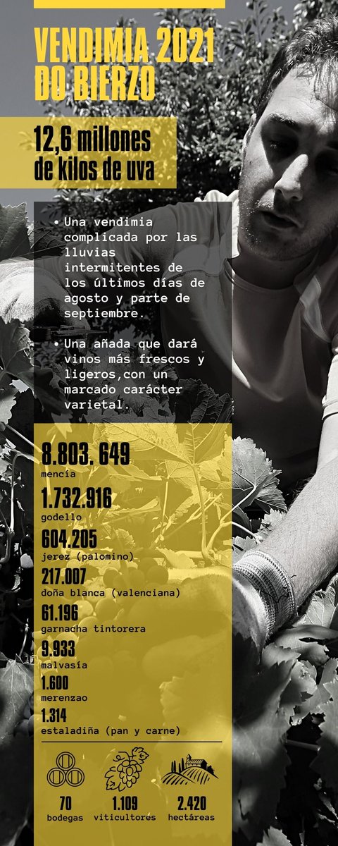 The Queen Mencía tweet media