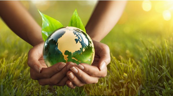 Umweltschutz картинки. Типы переменных в визуал студио. Environment newline. Защита природы. Экология.