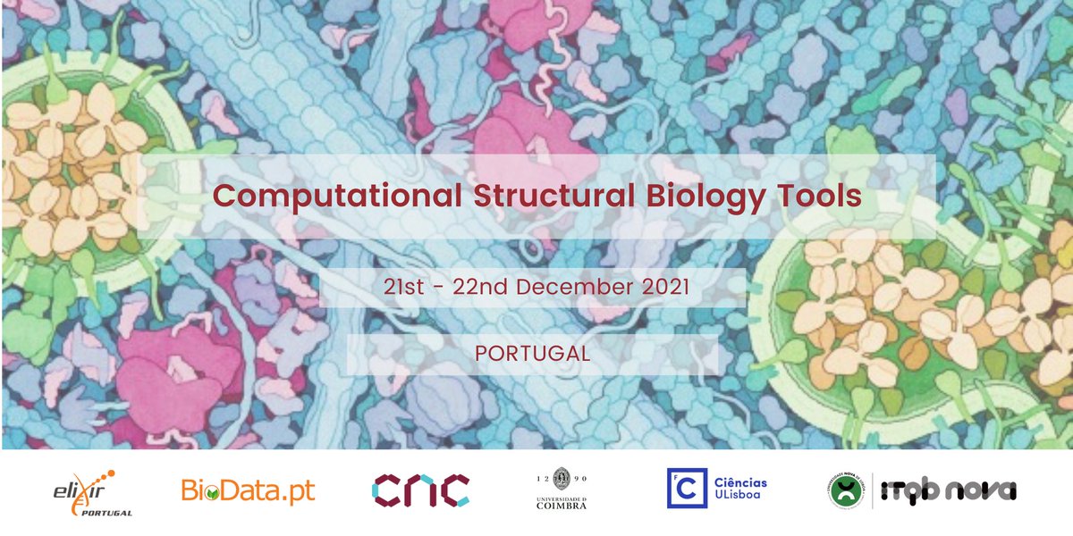📢 Want to learn how to use different tools in #StructuralBiology?🦠

Join us on the Computational Structural Biology Tools!
 
🔗bit.ly/3DXbcor
🗓 21st - 22nd December 2021
🕑9 am - 6 pm WEST
 
#biophysics #modeling #docking #haddock #autodock #moleculardynamics #mmpbsa