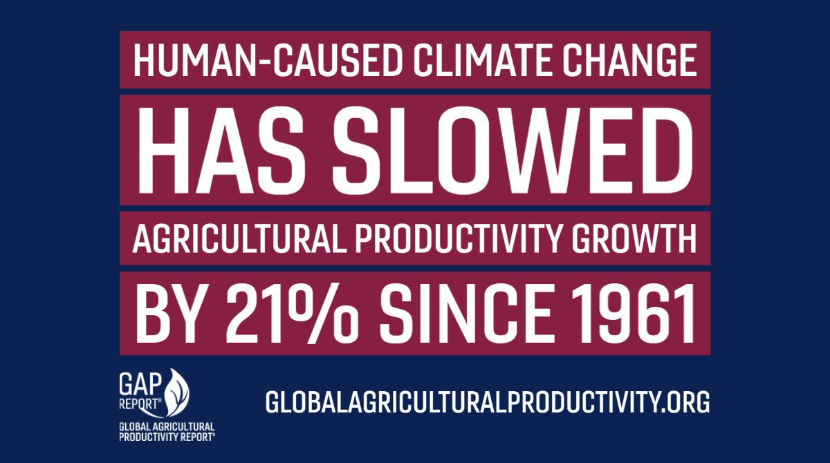 #DYK Human caused #climatechange has slowed #AG productivity growth by 21% since 1961 -  #GAPReport @Ag_Productivity