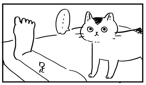 猫と一緒に寝たい飼い主、腕枕を誘うが……? 猫飼いの理想と現実を描いた漫画に「あるある」「うちもこれ」の声 https://t.co/HeHqtkgOzi @itm_nlabより 