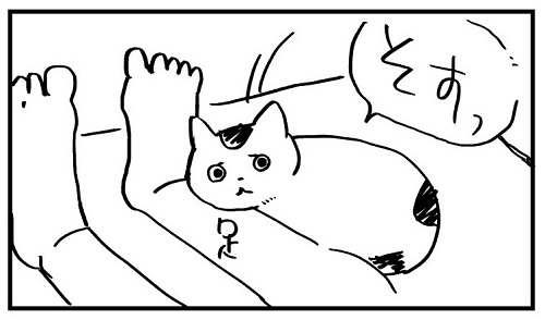猫と一緒に寝たい飼い主、腕枕を誘うが……? 猫飼いの理想と現実を描いた漫画に「あるある」「うちもこれ」の声 https://t.co/HeHqtkgOzi @itm_nlabより 
