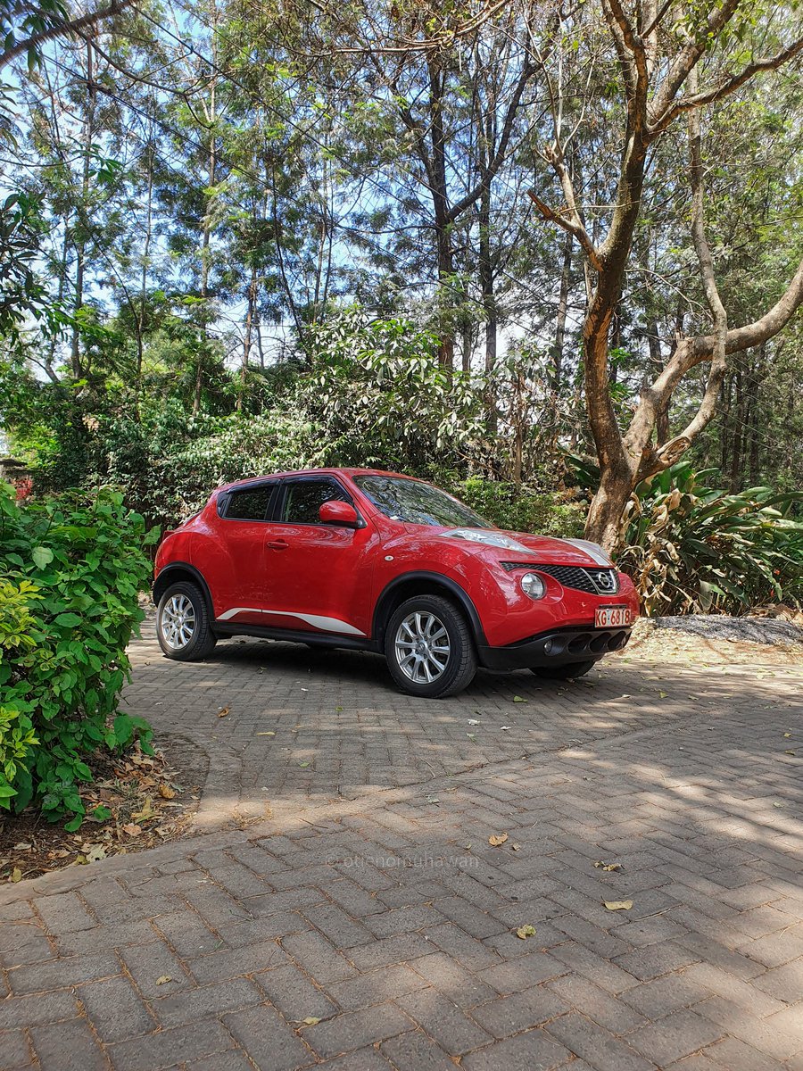 auto_cpr1's tweet photo. 🚘 Nissan Juke 🚘 Red/ KDD/ Year 2014/ 1500cc Auto/ DVD USB FM MP3/ Alloy Rims/ Foglights/ Reverse Camera 

Cash Price Kshs 1,370,000

📞0737 119 585
.
#Curfew Nation
Kenyans President Uhuru Kenyatta
Sherehe  BREAKING NEWS #EdgarObareSim2 Dp William Ruto https://t.co/X5bAUdXUCv