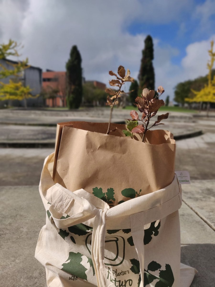PolScience_UA's tweet photo. 🪴🌳 Small actions can have a big impact🌎! The @UnivAveiro, along several local stakeholders, promotes this initiative to generate a sense of social and environmental responsibility and encourage active and participatory citizenship. Make this idea grow!
https://t.co/EgDuuy94Nt https://t.co/t1ZttPVRmL