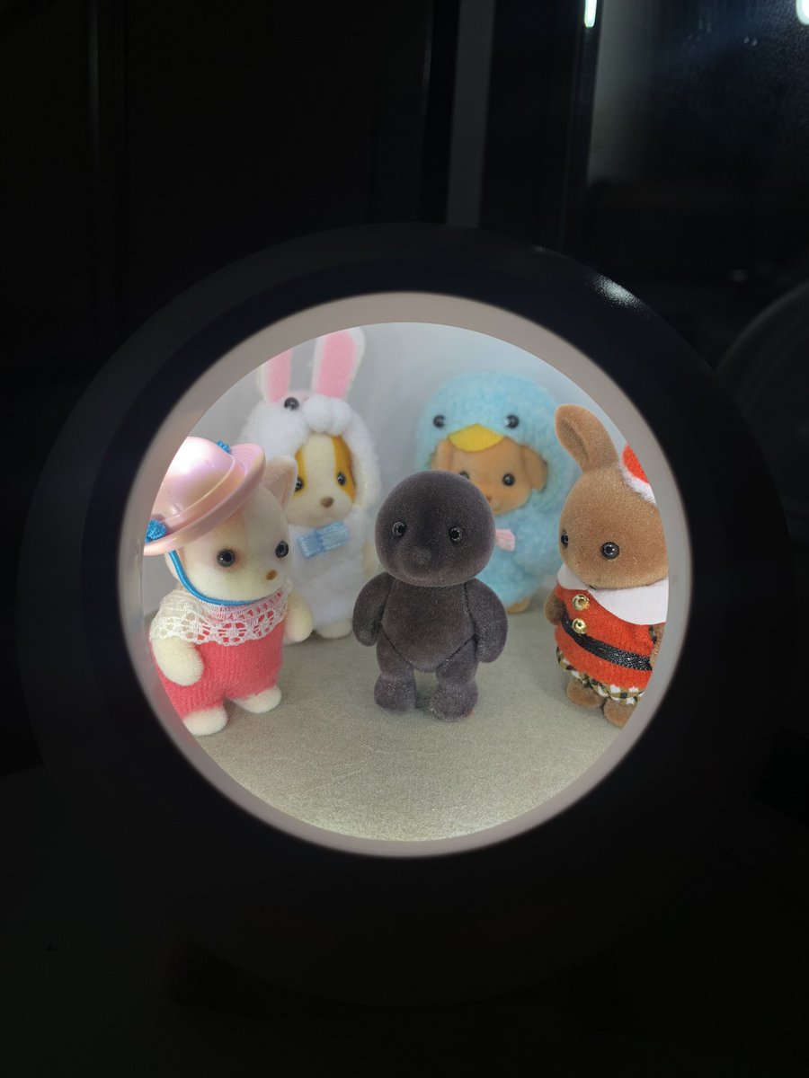 moleeel's tweet photo. 선물 받아서 실바니안 늘엇어요!!!!!!!!!!!! ㅎ ㅅ ㅎ https://t.co/HtRQ4lpXmU