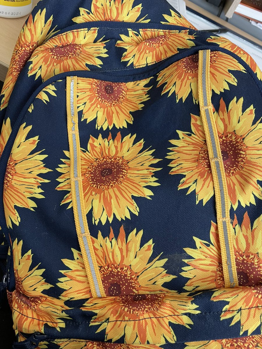Mrs_Dillingham's tweet photo. I found this beautiful surprise in my mailbox today … it matches my new school bag  !! 🌻🌻🌻🌻 #sunflower #PHlife the only thing missing is a 🔑🗝 @PineHollowAD 😂 https://t.co/WKaxw7bCJl