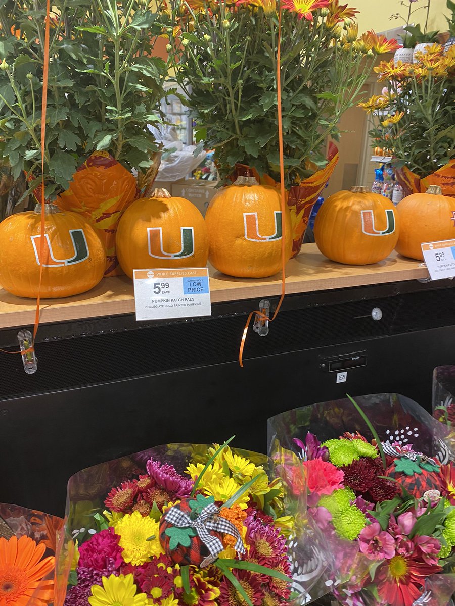 auconyers's tweet photo. Not sure why these specialty pumpkins aren’t flying off the shelf at a South Alabama Publix. #knowyouraudience https://t.co/iiiHL7bFms
