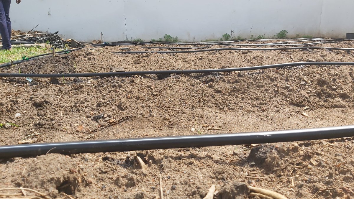 AgyemanCharles's tweet photo. Instead of paving our front and backyards we can have a set up like this which can provide all the vegetables we need in our homes 🇬🇭 https://t.co/PyJuX0jSuT