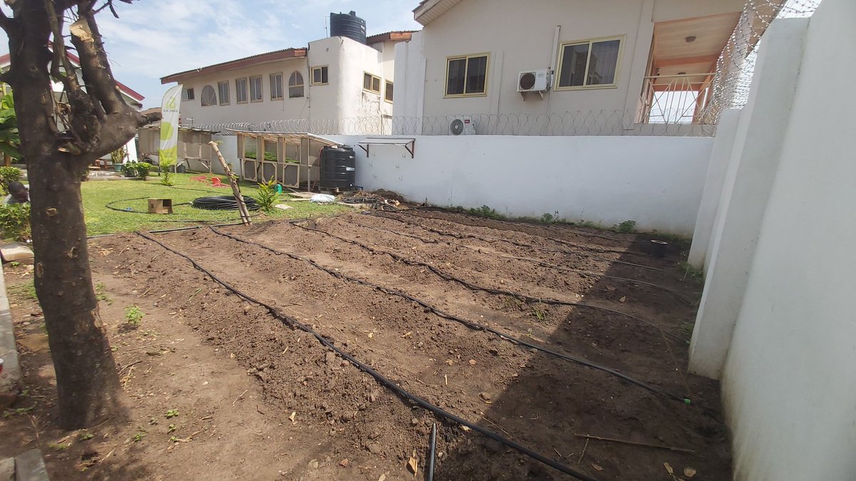 AgyemanCharles's tweet photo. Instead of paving our front and backyards we can have a set up like this which can provide all the vegetables we need in our homes 🇬🇭 https://t.co/PyJuX0jSuT