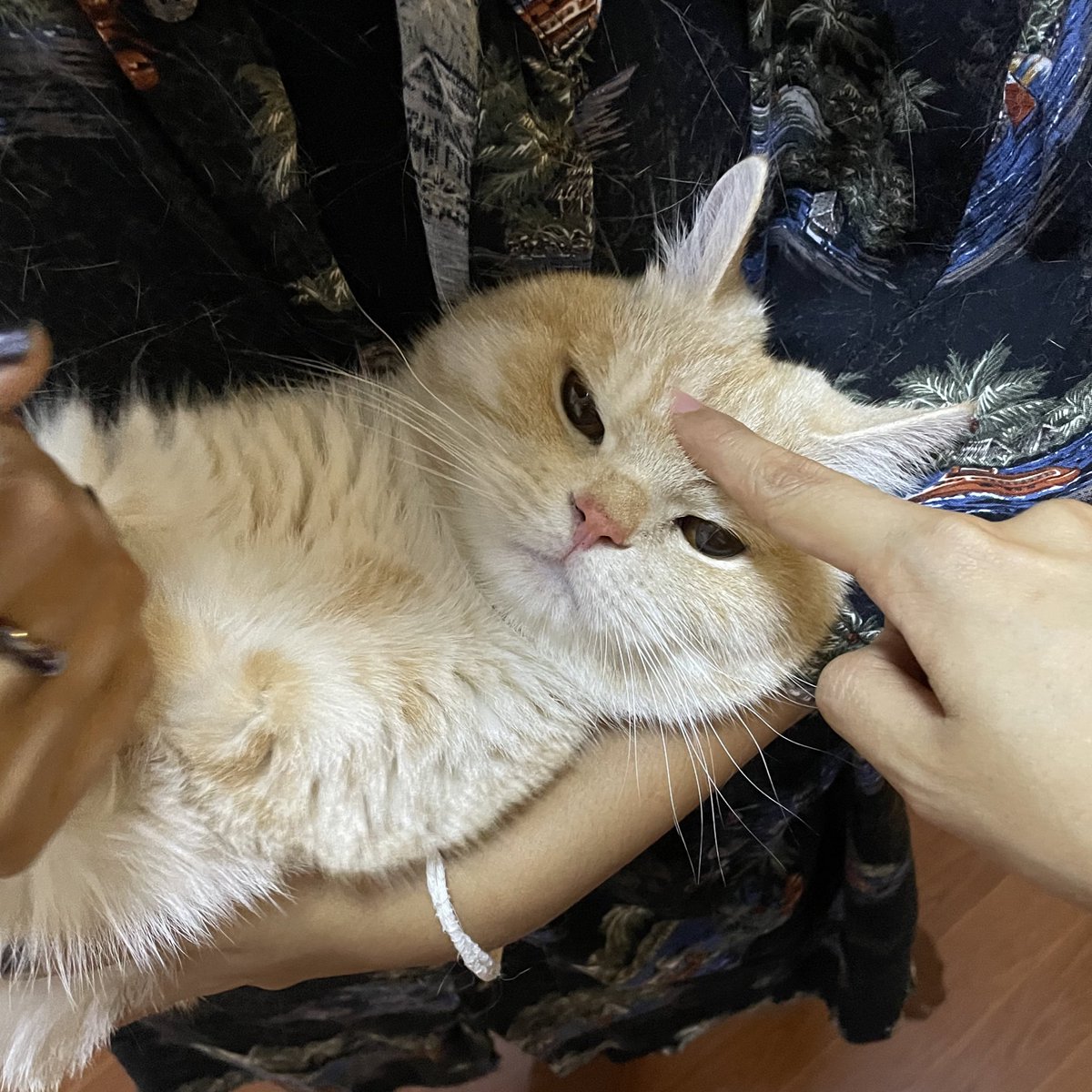 ไอบีมอ่า🥺🥺🥺😡