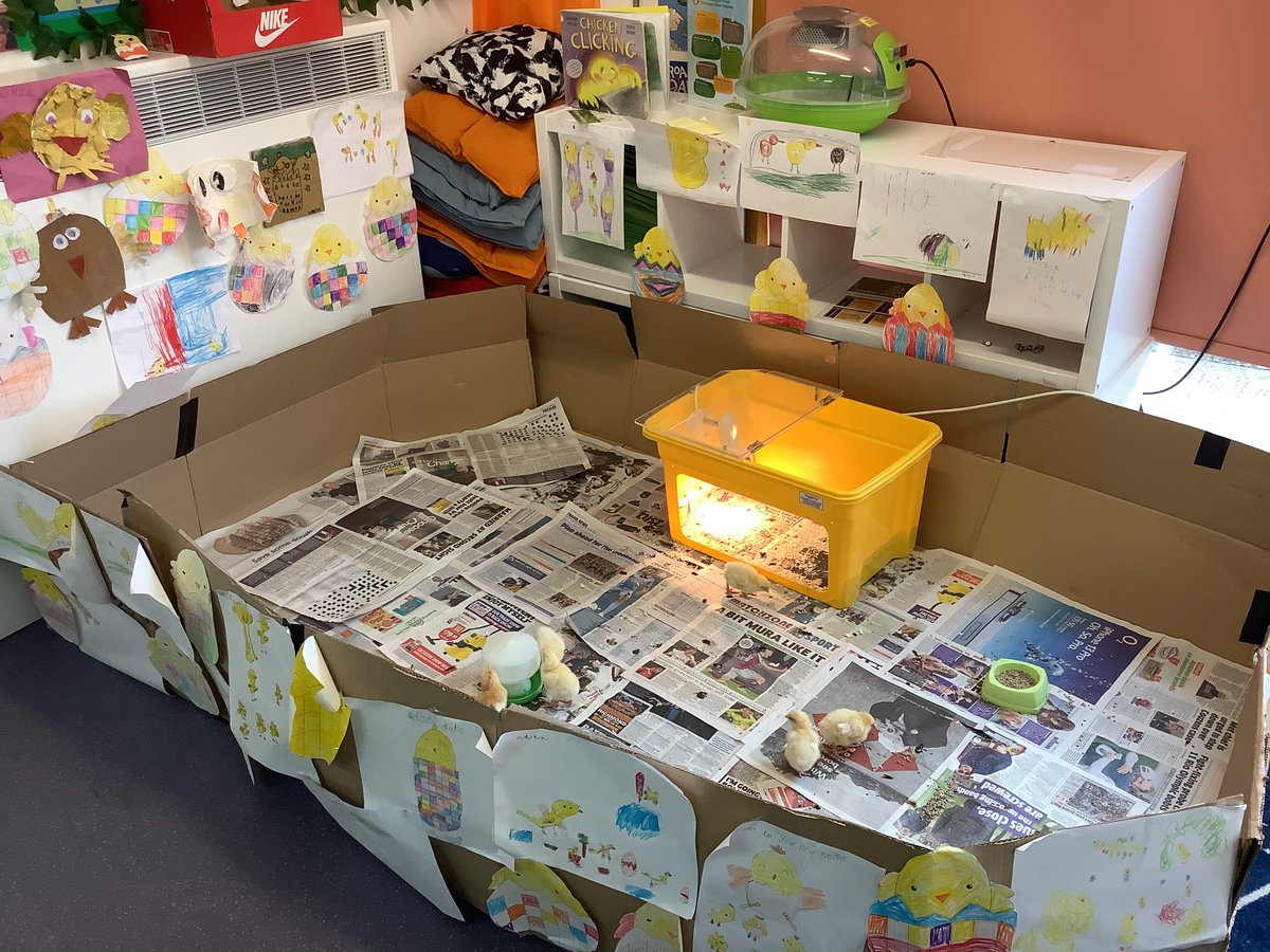 Donnington Primary tweet media