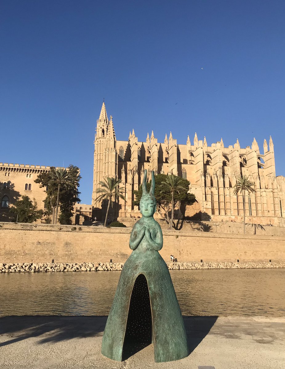 belviderefondo's tweet photo. Palma in the glorious autumn sun https://t.co/Huj0CCCdQ9