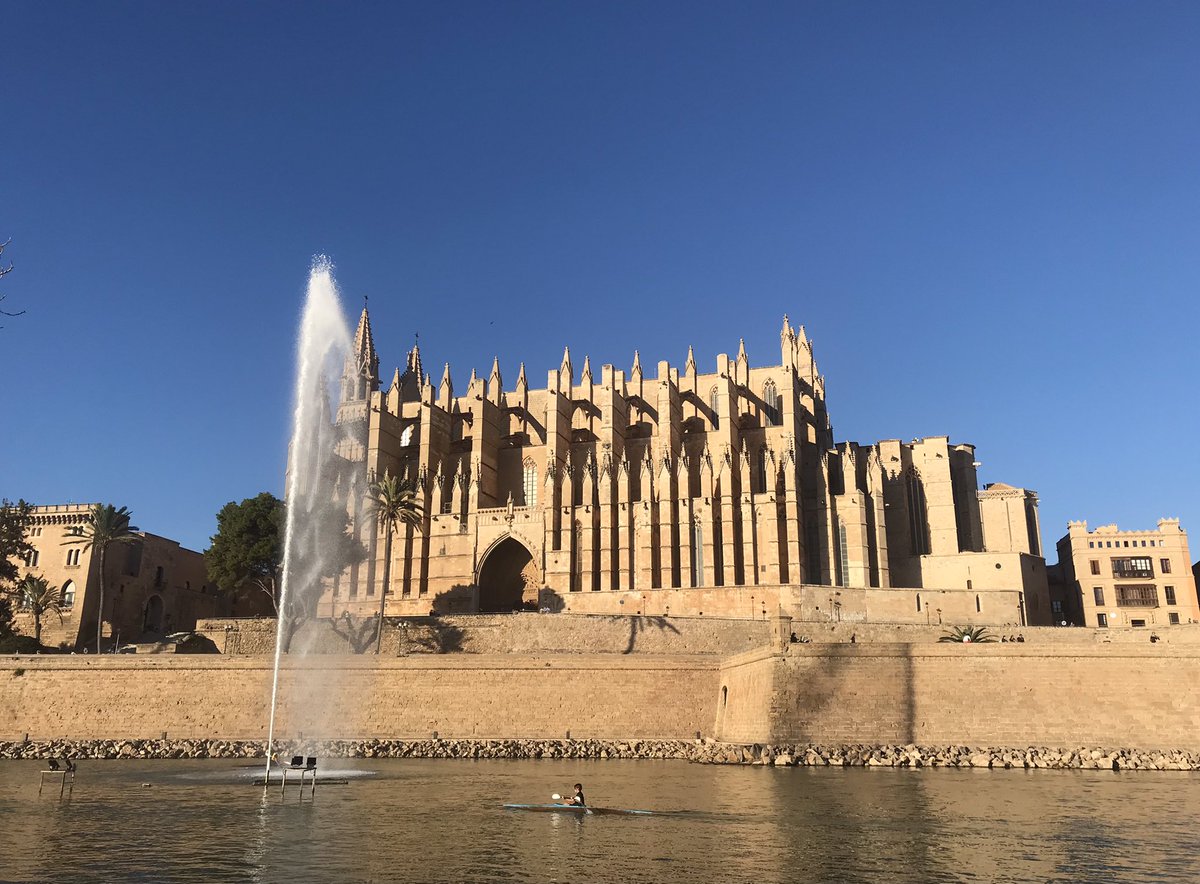 belviderefondo's tweet photo. Palma in the glorious autumn sun https://t.co/Huj0CCCdQ9