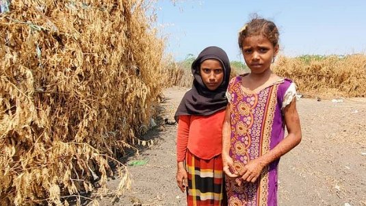 ForgottenWomen_'s tweet photo. Over 2 million children in #Yemen have been out of school.
1- 8.1M children need emergency education assistance.
2- 11.3M require humanitarian aid or protection assistance.
#YemenCantWait
#YemenInCrisis
#RestoringHope #yemencrisis
#saveyemen #COVID19
#SafeAid #helpingothers https://t.co/rOKdum5Krl