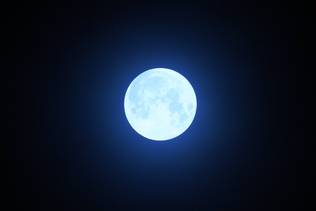 BububunoBOO's tweet photo. 23:30 11.0℃
肥えた獲物を月明かりで狩るそうだッ!d( ̄◇ ̄;)
#sony #sonyalpha #sonyuser #ilce7rm3 #a7Rlll #a7Riii #全画素超解像 #tamron18300 #タムロン18300 #moon #moonshot #huntersmoon #ハンターズムーン #イマソラ #よるあさぶ https://t.co/xeyA3ichqy