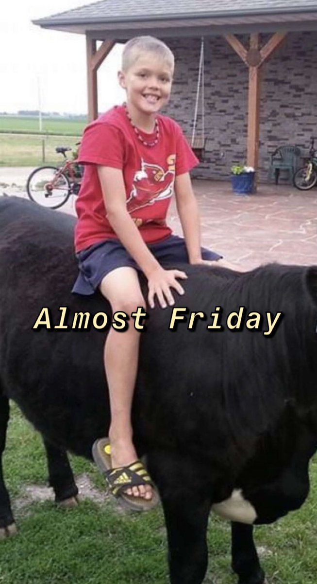 scc_barstool tweet media