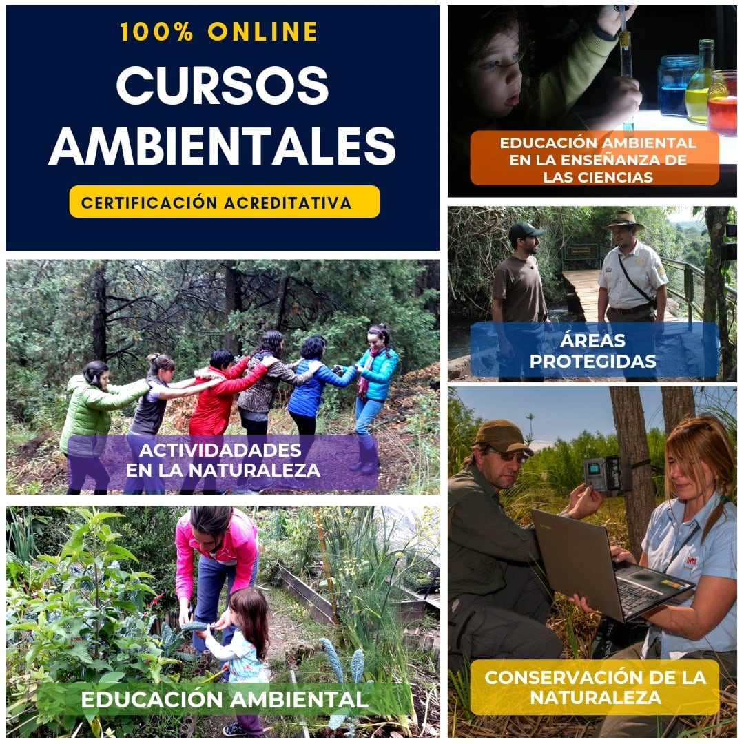 Últimos cursos del año. 100% online
Inician el 28/10
Transformá tu pasiób en acción
+54 9 1134822763
proyecto-ambiental.com/tienda
#educaciónambiental #cursosambientales #proyectoambiental #
