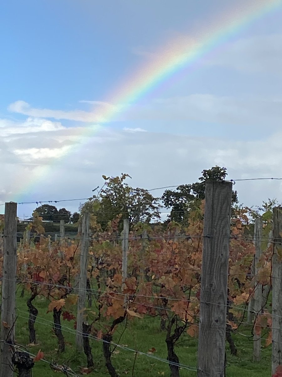 wroxeterwines's tweet photo. #englishwine rainbow https://t.co/AcO1bFAxPS