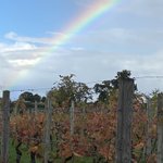 Photo by Wroxeter Vineyard (@wroxeterwines)