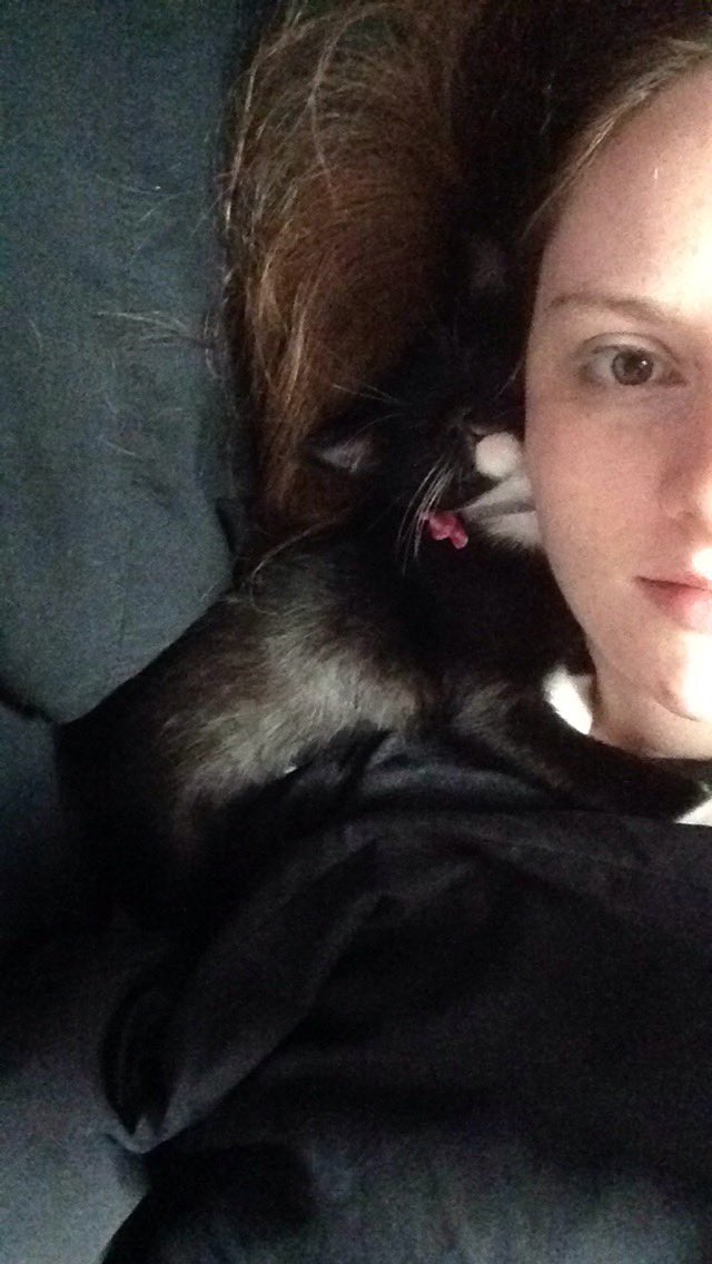 Spockzillla's tweet photo. When I first got Sookie as a kitten, this is what I woke up to the next day. She still tries to lay on my face. Obviously a murderous cat. https://t.co/wzT6Gc3Rb8