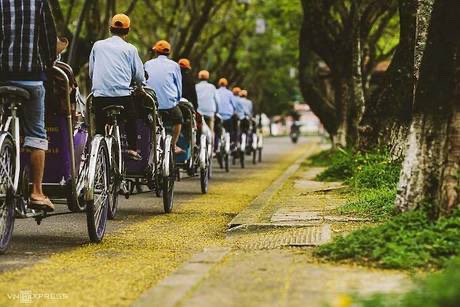 Expat_Local's tweet photo. South Korean visitors to arrive in Hue in December. #traveland_explore #earth_shotz #travelig #travelling #nature #naturelover #flowers #flower #travelgram #beautifulnature #naturelovers #beautifulplaces #nature_good #instatravel #instagramnature #photooftheday #picoftheday https://t.co/LVFtdVxRCg