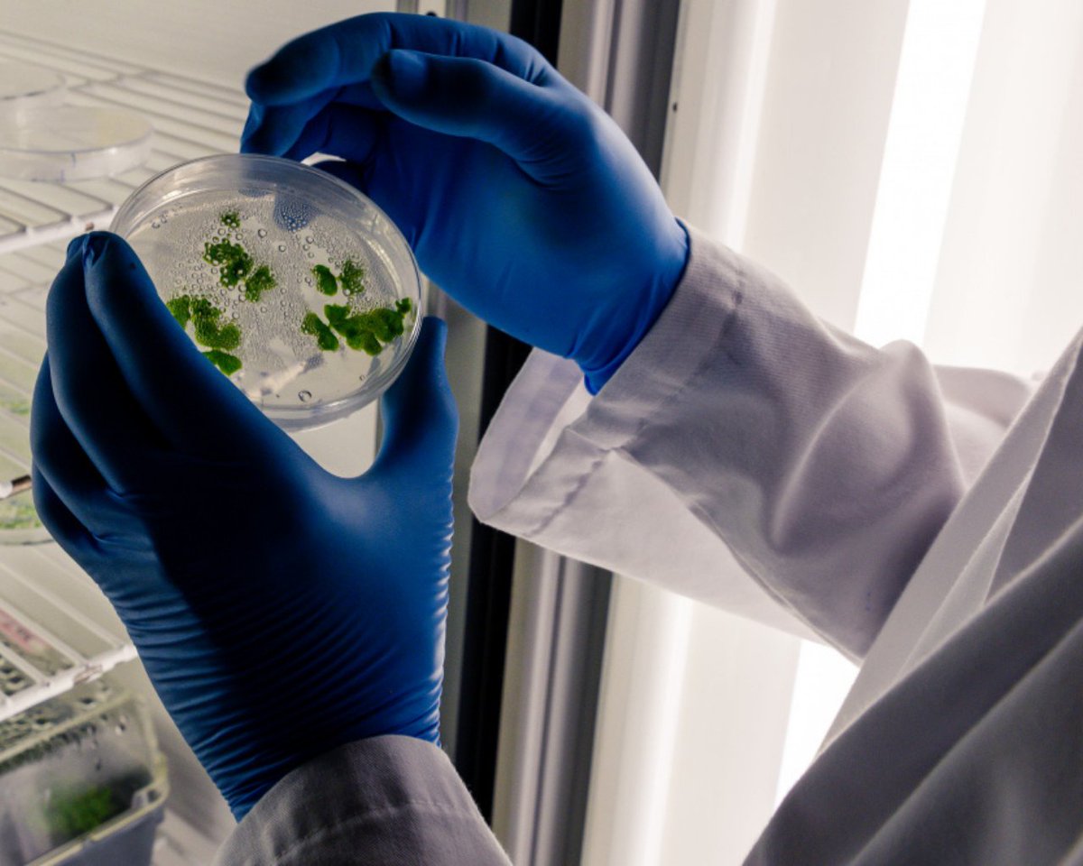 Portafolio Servicio Biotecnológico en Salud tweet media
