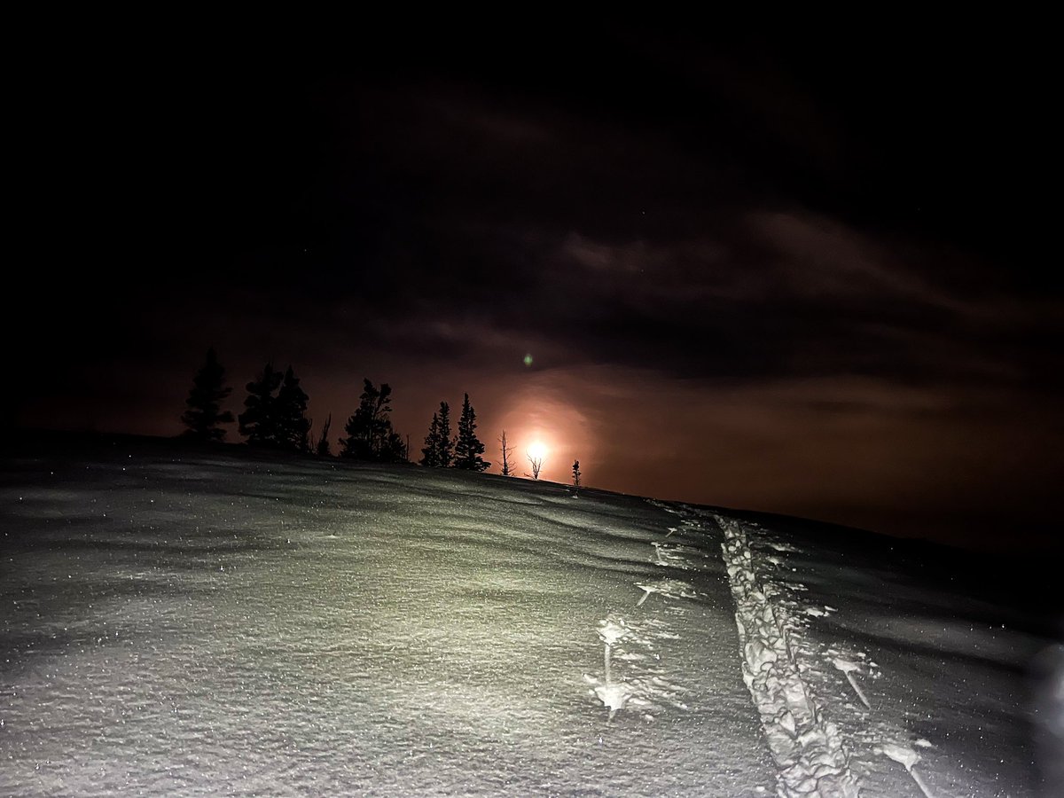 Matt Asay tweet media