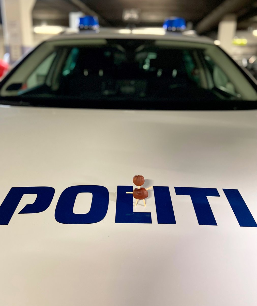 Okay, hvem er personen med et Netflix-abonnement, hang til danske krimier og for meget fritid i sin efterårsferie, der har placeret denne kastanjemand på vores bil? #politidk