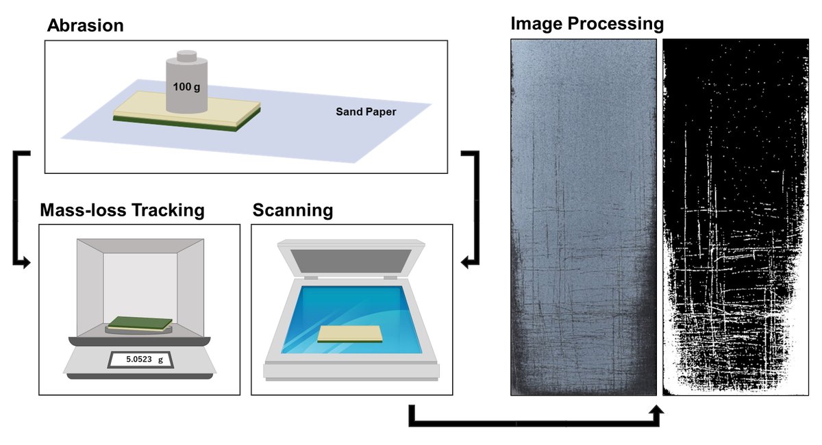 Crick Group tweet media