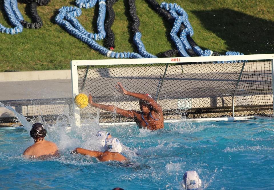 WP_Imperial's tweet photo. We keep learning, working hard, and getting better each and every day! GO IMPERIAL!! 🔵🟢🤽‍♂️🤽🏻‍♀️🏰 #imperialwaterpolo #playerdevelopment #process #trusttheprocess https://t.co/RkpefLRgnY