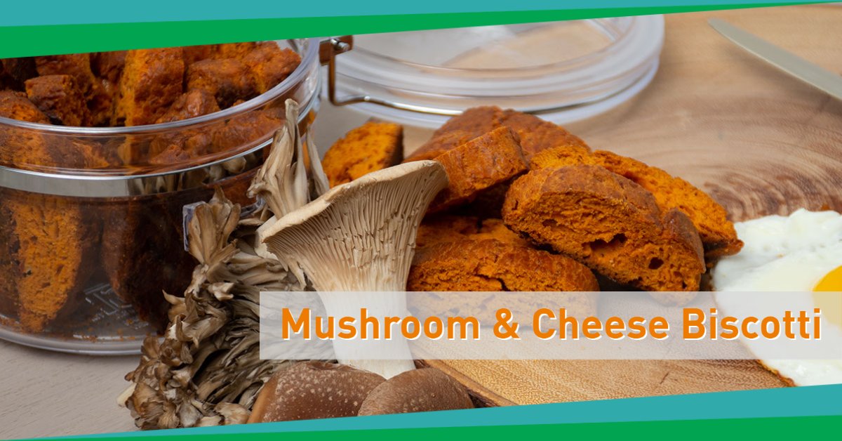 Fuchs North America tweet media