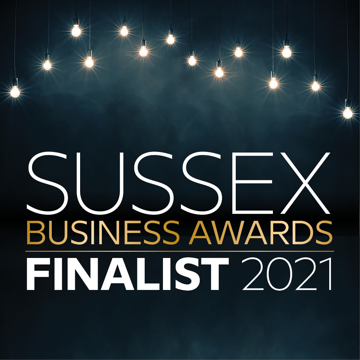 PVLUK's tweet image. Big news! @PVLUK is a 2021 @SussexBizAwards finalist for International Business of the Year! Export is a key part of our growth strategy and we&apos;re proud to work with so many international partners. #PVL #expertknowledge