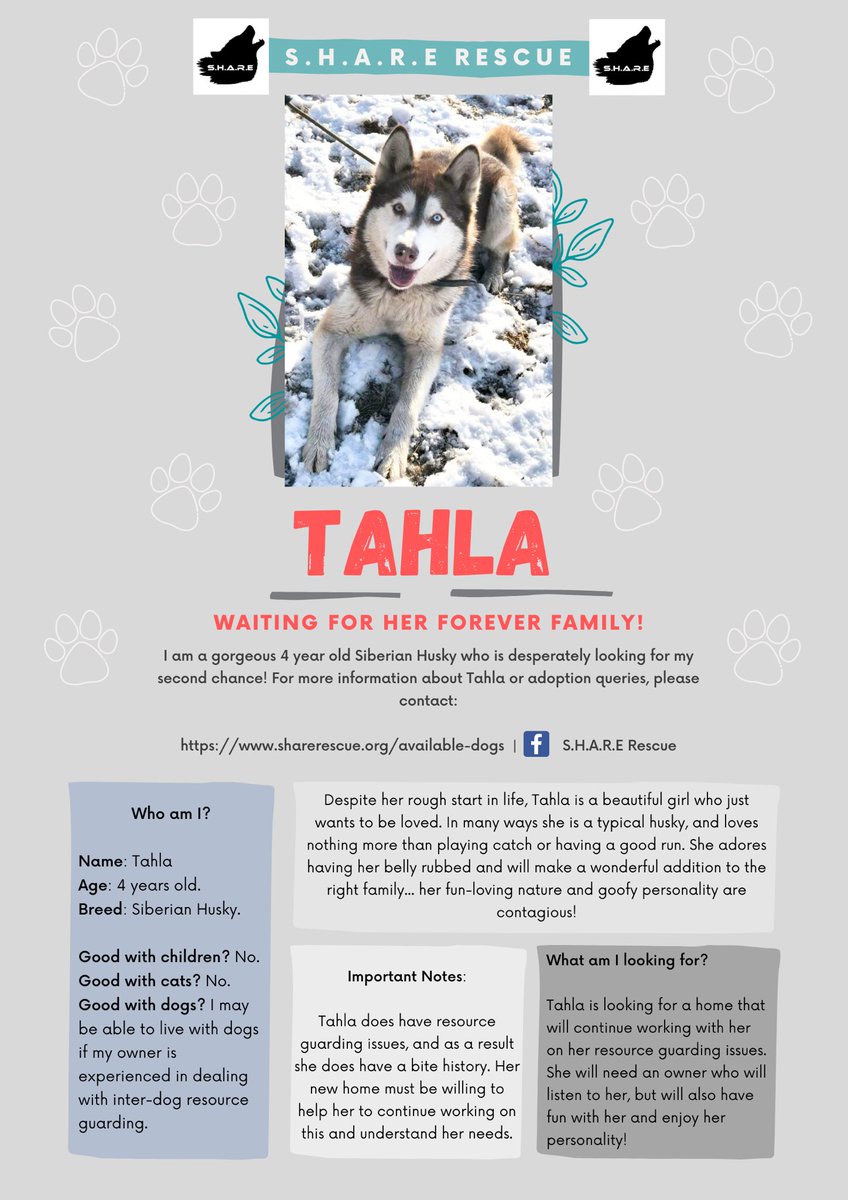 SHARErescue's tweet photo. https://t.co/QPp8L6bnoO https://t.co/ur9lIztUO3