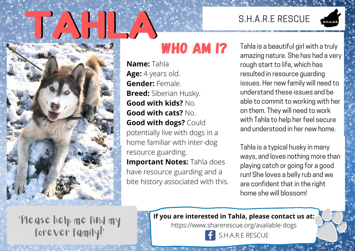 SHARErescue's tweet photo. https://t.co/QPp8L6bnoO https://t.co/ur9lIztUO3