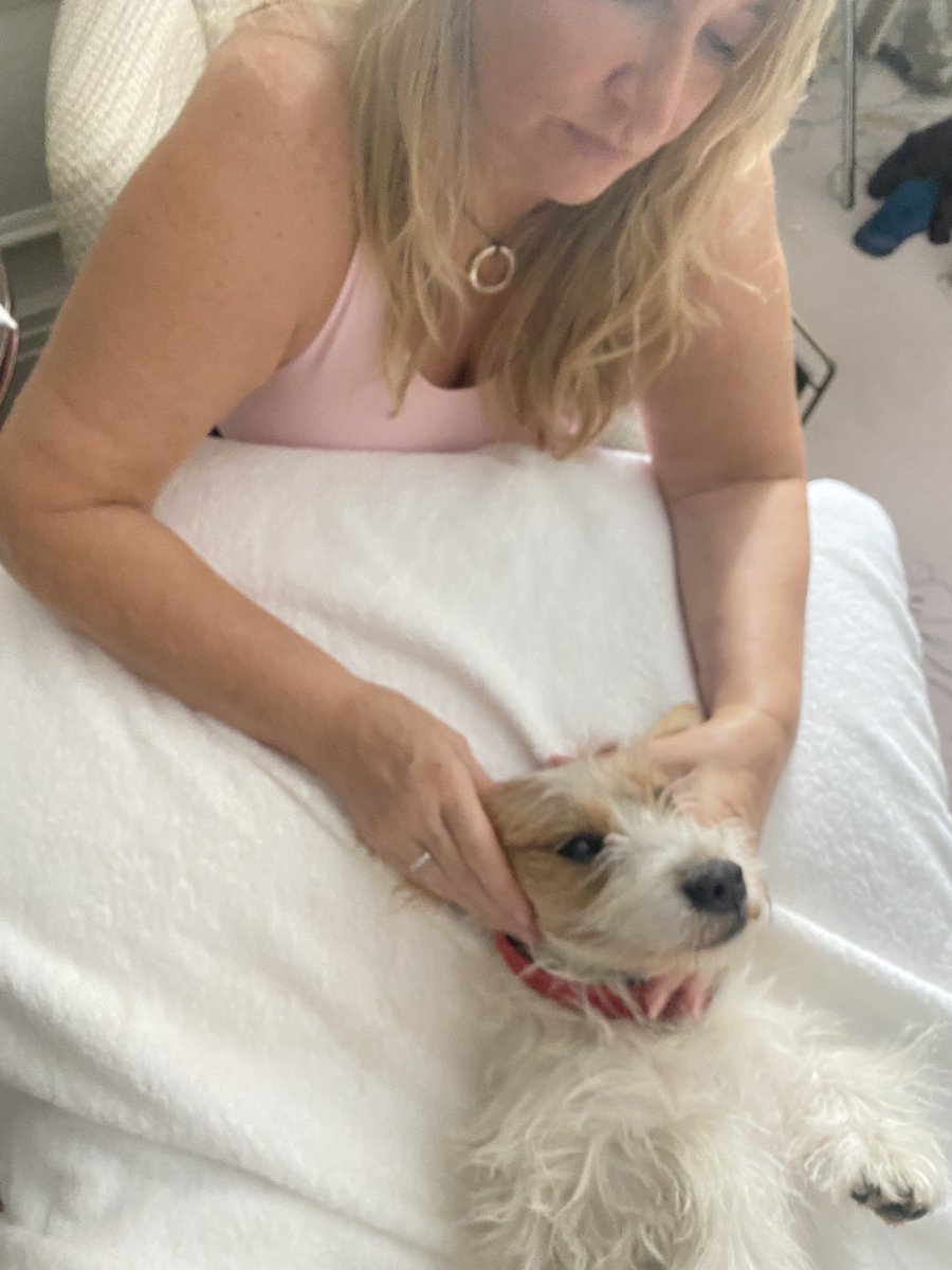 heavenskincare's tweet photo. Doing a #beestingfacial on #jock ⁦@Langham_London⁩ https://t.co/Xy29NmZWjE