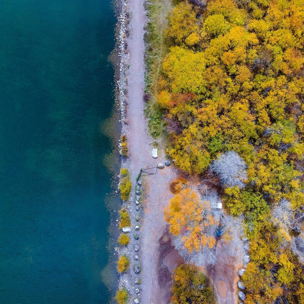 iSANsjourney's tweet photo. Aspen is named best small town in USA. Why not, it’s the most beautiful place with the best public transportation while being close to nature.
#aspencolorado #smalltownusa #bestsmalltown #fallcolorado #wednesdaywisdom #fallcolors #coloradogram #lifeinc… https://t.co/jyGLFIlBvC https://t.co/wlcscUHF1Y