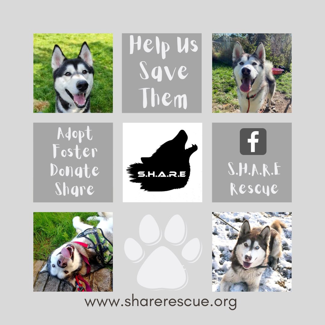 SHARErescue's tweet photo. https://t.co/no9SuFX40q